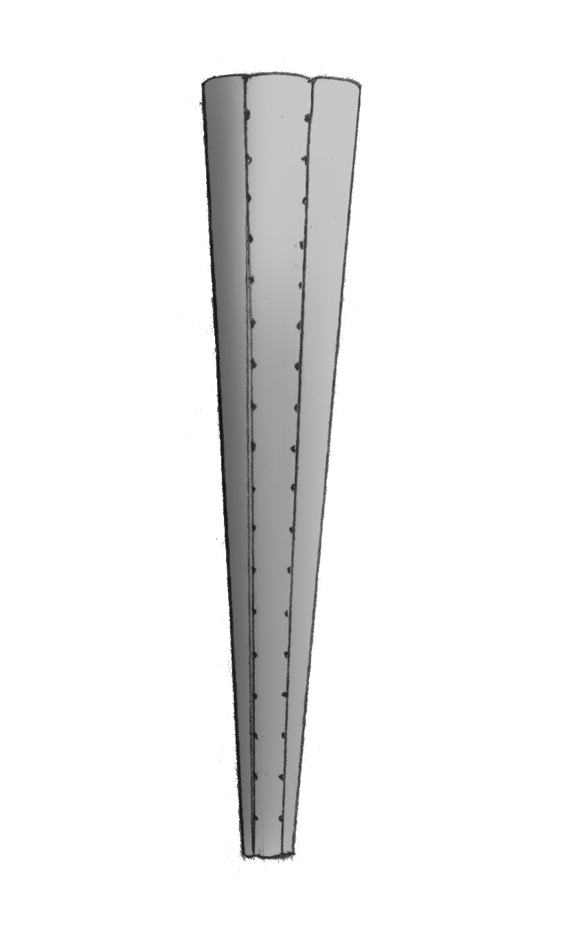 Dictyocha speculum