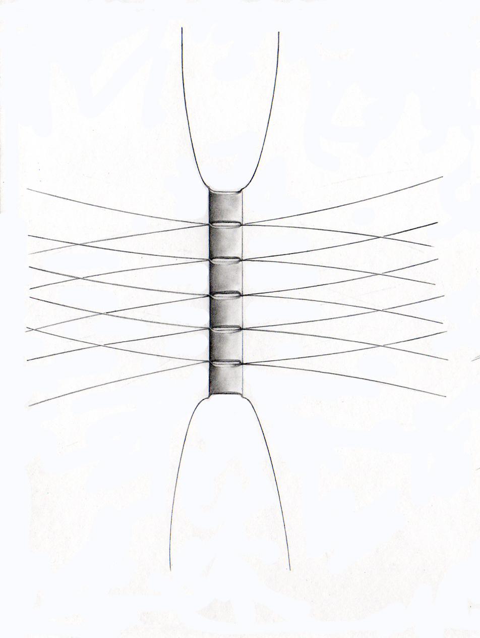 Dictyocha speculum