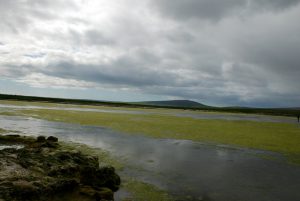 DSC_0219