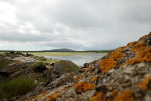 DSC_0230