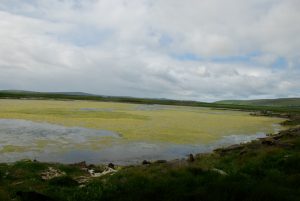 DSC_0241