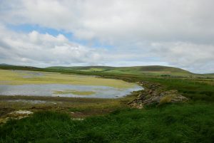 DSC_0244