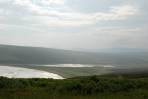 DSC_0638