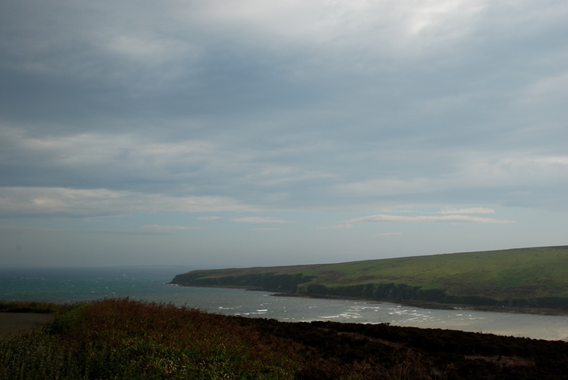 DSC_0640