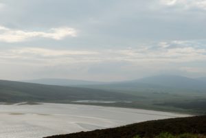 DSC_0643