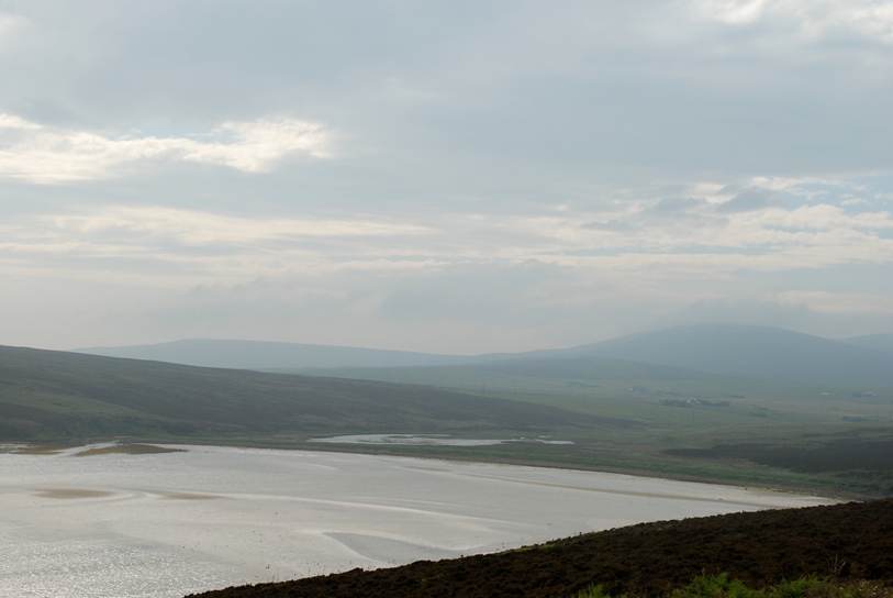 DSC_0643