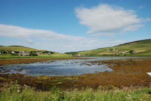 DSC_0738