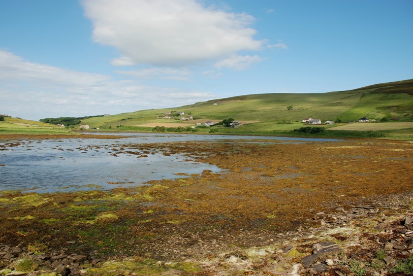 DSC_0740