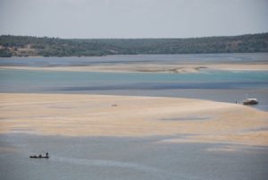 DSC_0881