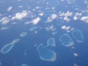 DSC00033