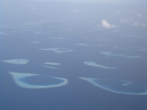 DSC00053