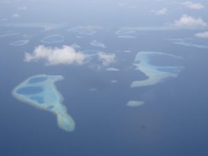 DSC00058