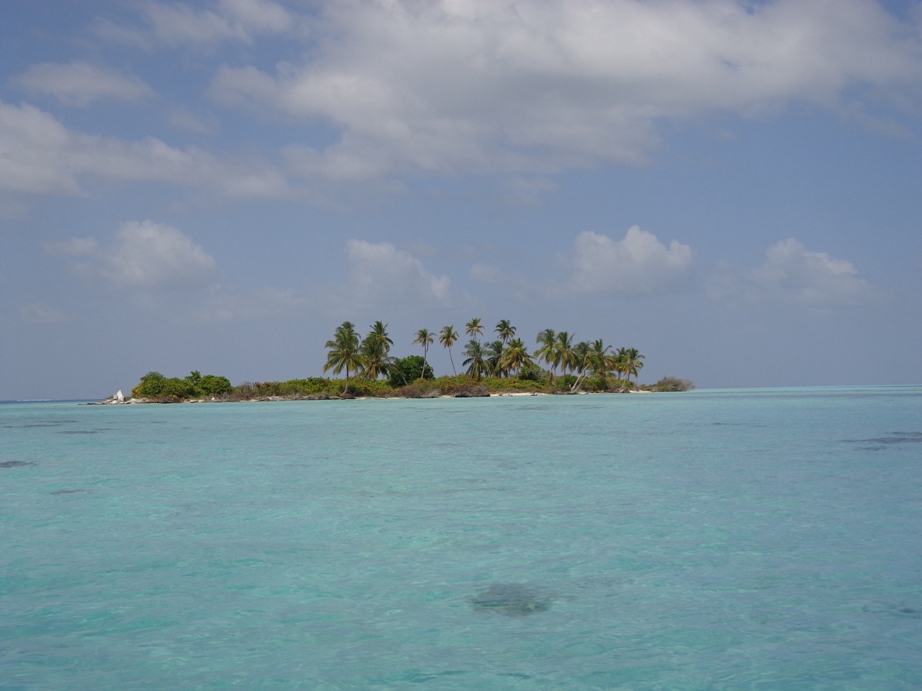 DSC00123