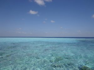 DSC00187