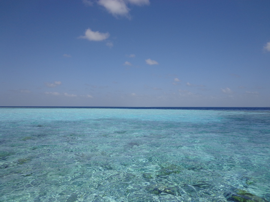 DSC00187