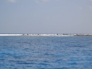 DSC00207