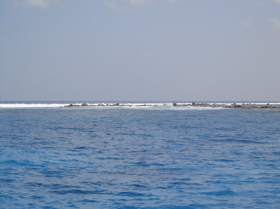 DSC00207