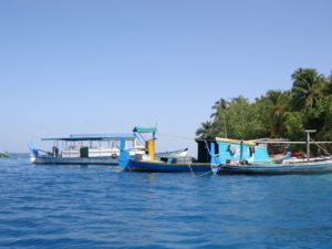 DSC00223