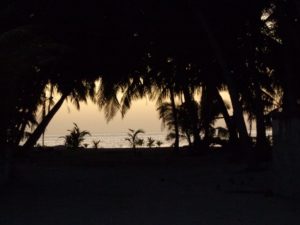 DSC00278