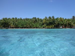 DSC00324