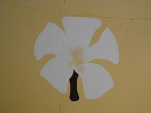 DSC00409
