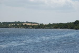 DSC_0115