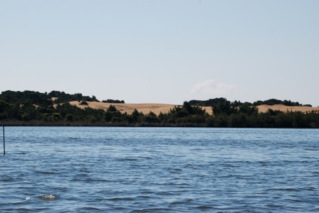 DSC_0161