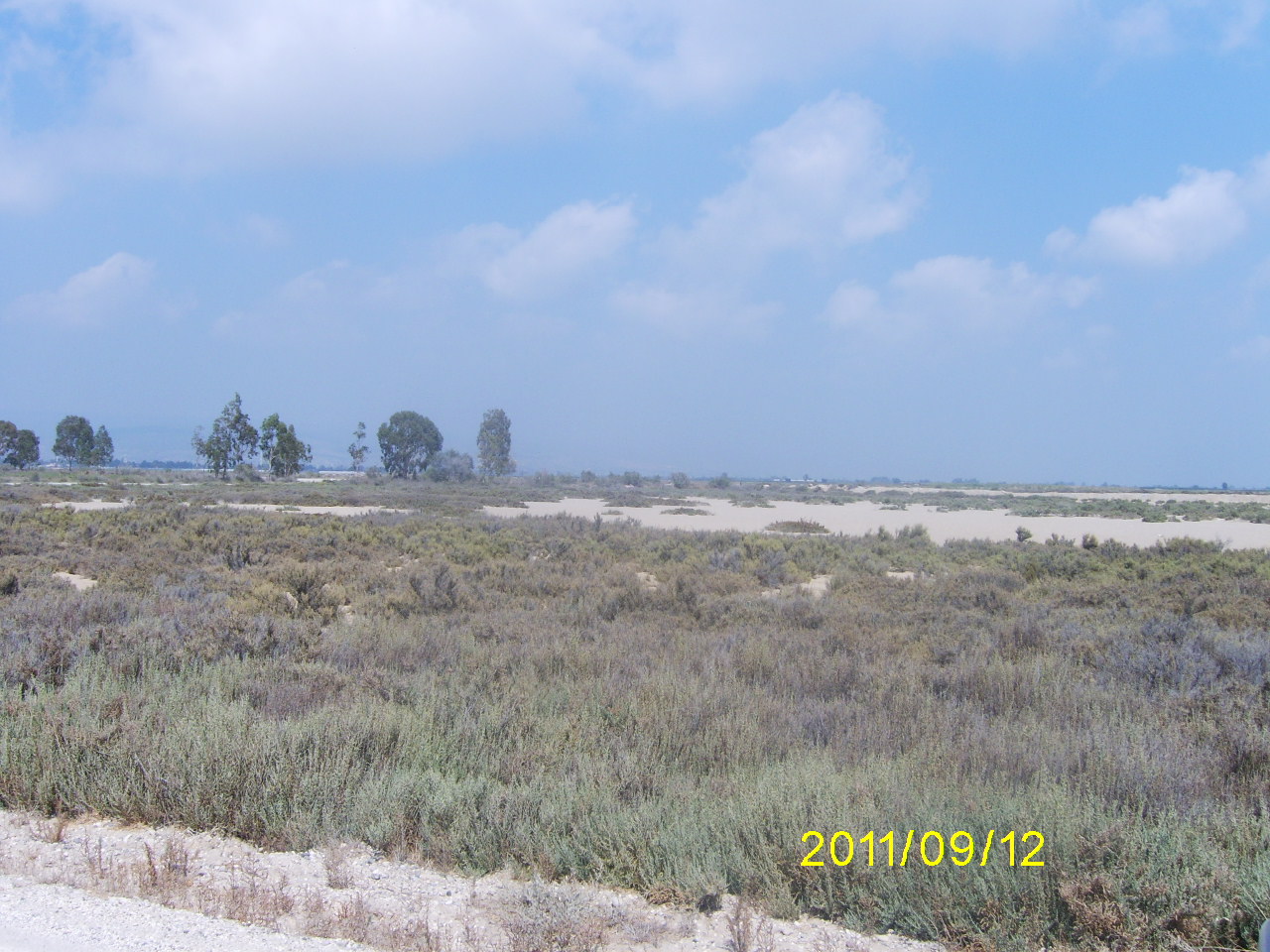 Digital Camera