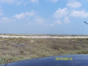 Digital Camera