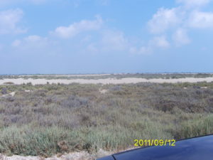 Digital Camera