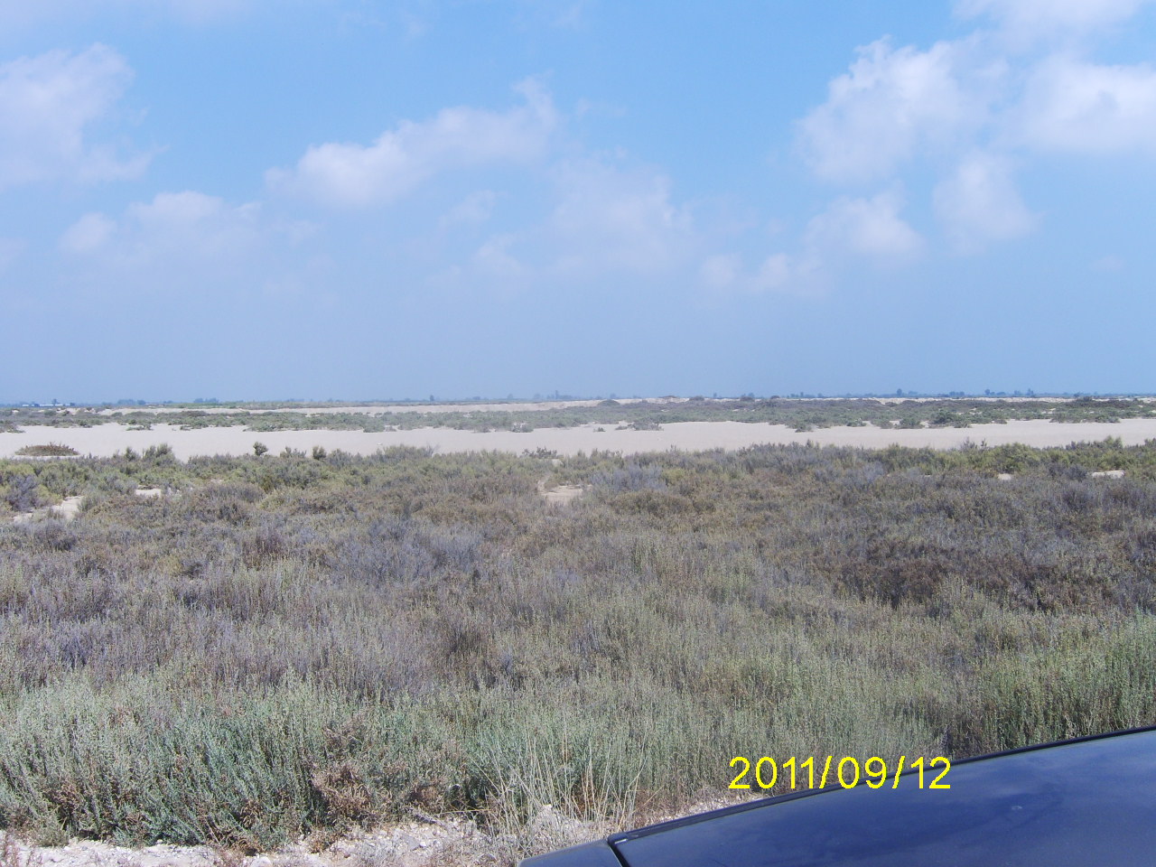 Digital Camera