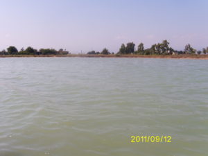 Digital Camera