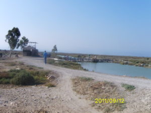 Digital Camera