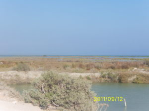 Digital Camera