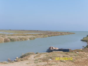 Digital Camera