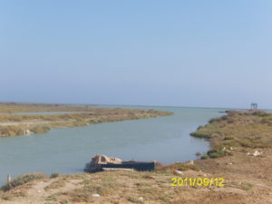 Digital Camera