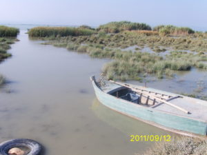Digital Camera
