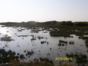 Digital Camera