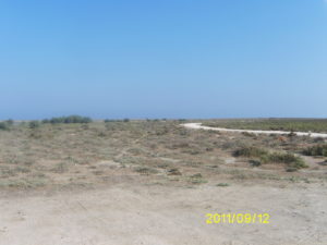 Digital Camera