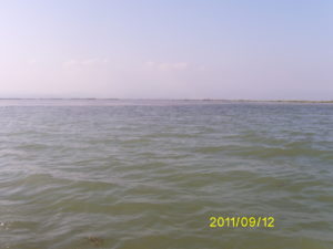 Digital Camera
