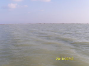 Digital Camera