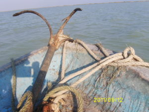 Digital Camera