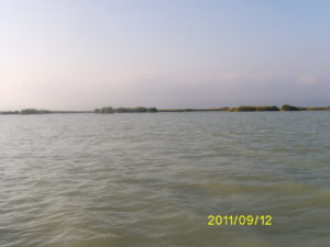 Digital Camera