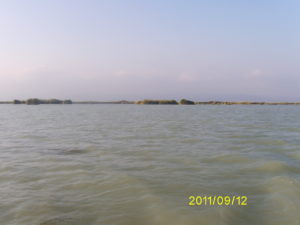 Digital Camera