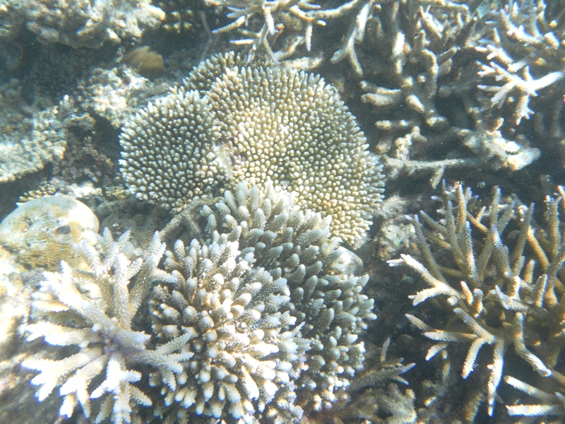 SAMSUNG DIGITAL CAMERA