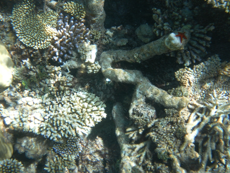 SAMSUNG DIGITAL CAMERA