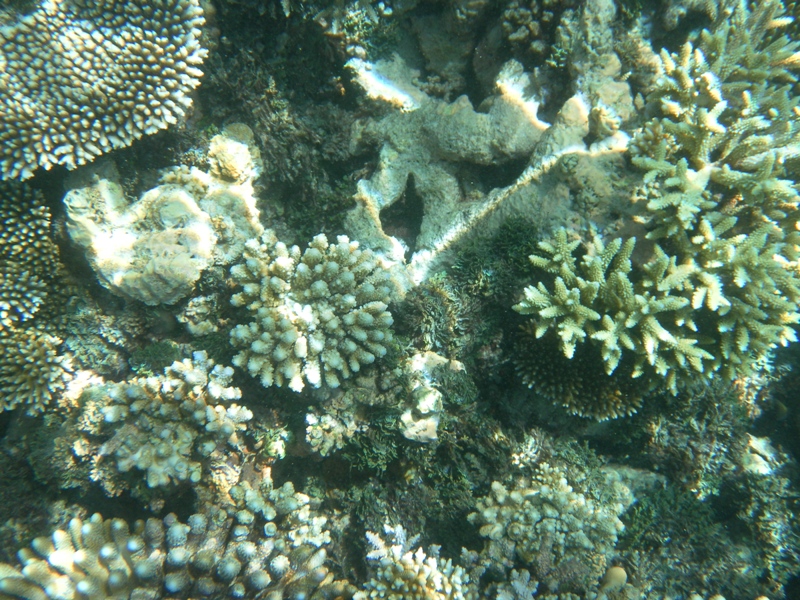SAMSUNG DIGITAL CAMERA