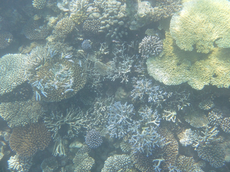 SAMSUNG DIGITAL CAMERA