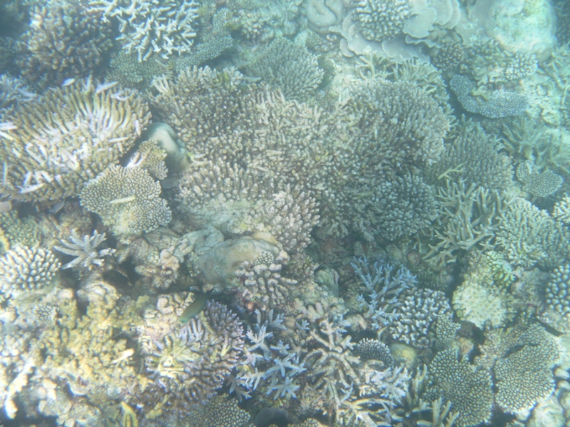 SAMSUNG DIGITAL CAMERA