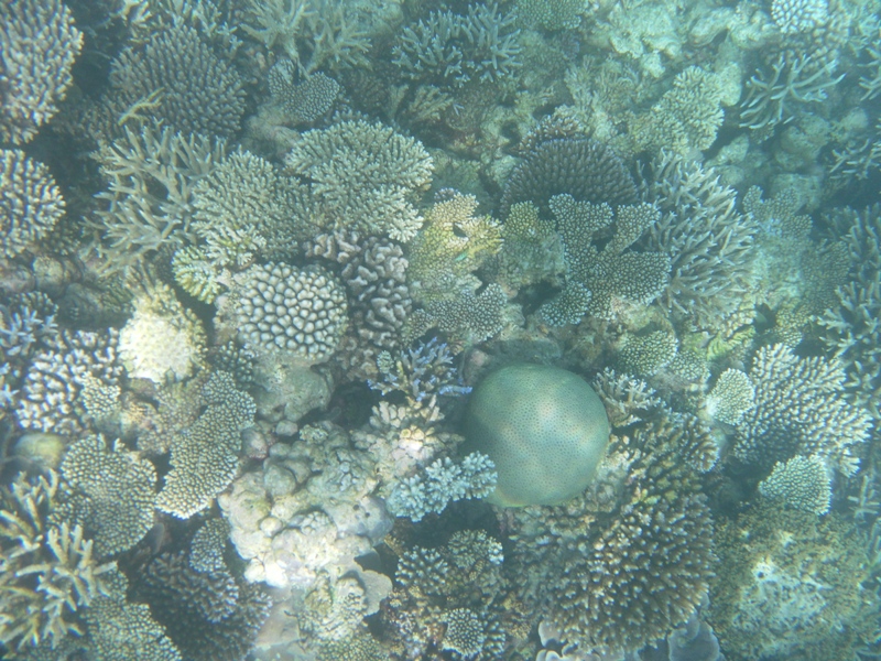 SAMSUNG DIGITAL CAMERA